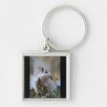 Astronaut Squirrel Keychains