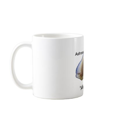 Astronotus Ocellatus , Mugs by EliteCichlids