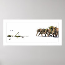 Asymmetry Posters