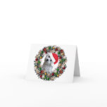 At Christmas - Bichon Frise