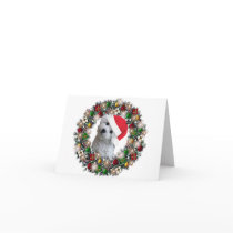 At Christmas - Bichon Frise