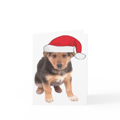 At Christmas - German Shepherd Puppy by malibuitalian