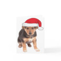 At Christmas - German Shepherd Puppy cards