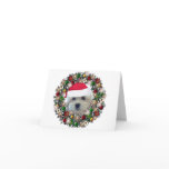 At Christmas - Havanese