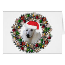 At Christmas - Standard Poodle Card
