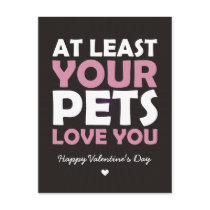 At Least Your Pets Love You Post Card