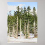 At Monarch Pass Poster