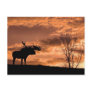   at Sunset Post Card