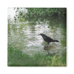 At the Creek Fridge Magnets