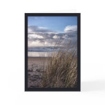 At the Edge of the Dune cards