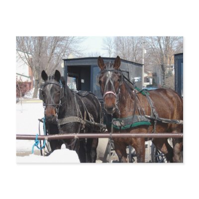 At the Hitching Post Postcard by angelandspot