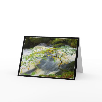 At the waters edge cards by nightsky