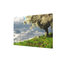 At World's Edge (Spring) Wrapped Canvas Stretched Canvas Print