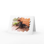Athena cards