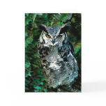 Athena's owl(card)