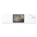 Athene cunicularia - Burrowing Owl 01 Bumper Stickers