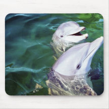 Atlantic bottlenose dolphin mouse pads