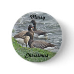 Atlantic Brant Geese Season's Greetings Series buttons