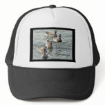 Atlantic Brant Geese Season's Greetings Series hats