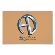 Atlantic Dreams 3D Logo Photo