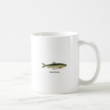 Atlantic Herring Mugs