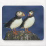 Atlantic Puffin, Fratercula arctica), in Mouse Pad