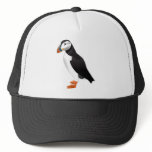 Atlantic Puffin