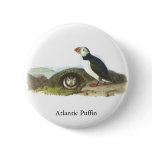 Atlantic Puffin, John Audubon