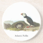 Atlantic Puffin, John Audubon