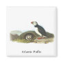 Atlantic Puffin, John Audubon