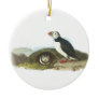 Atlantic Puffin, John Audubon