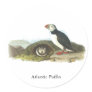 Atlantic Puffin, John Audubon