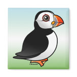Atlantic Puffin