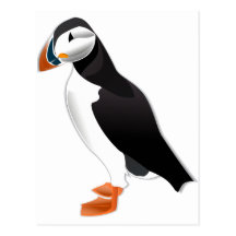 Atlantic Puffin Post Card