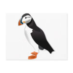 Atlantic Puffin