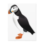Atlantic Puffin