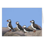 Atlantic Puffins Card