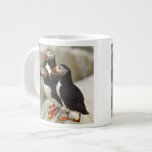 Atlantic Puffins on Machias Seal Island off the Jumbo Mug
