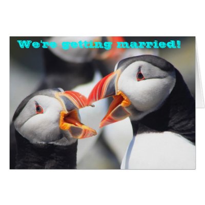 Atlantic Puffins We're Getting Married Greeting Cards by JohnBurk1