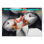 Atlantic Puffins We're Getting Married cards