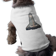 Atlantis Space Shuttle Pet Clothes