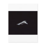 Atlantis Space Shuttle Post Cards