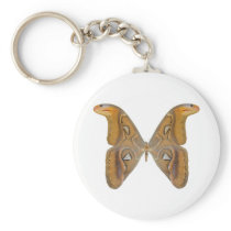 Atlas Butterfly Keychains