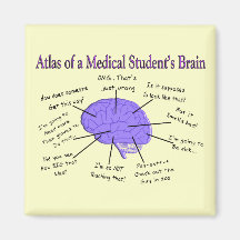 Atlas of a Medical Student's Brain #2 Fridge Magnets