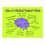 Atlas of a Medical Student's Brain #2 Post Card