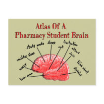 Atlas of a Pharmacy Student Brain Post Card