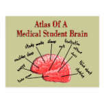 Atlas of Medical Student Brain Postcards