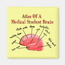 Atlas of Medical Student Brain Refrigerator Magnet