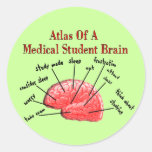 Atlas of Medical Student Brain Stickers