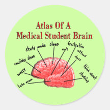 Atlas of Medical Student Brain Stickers